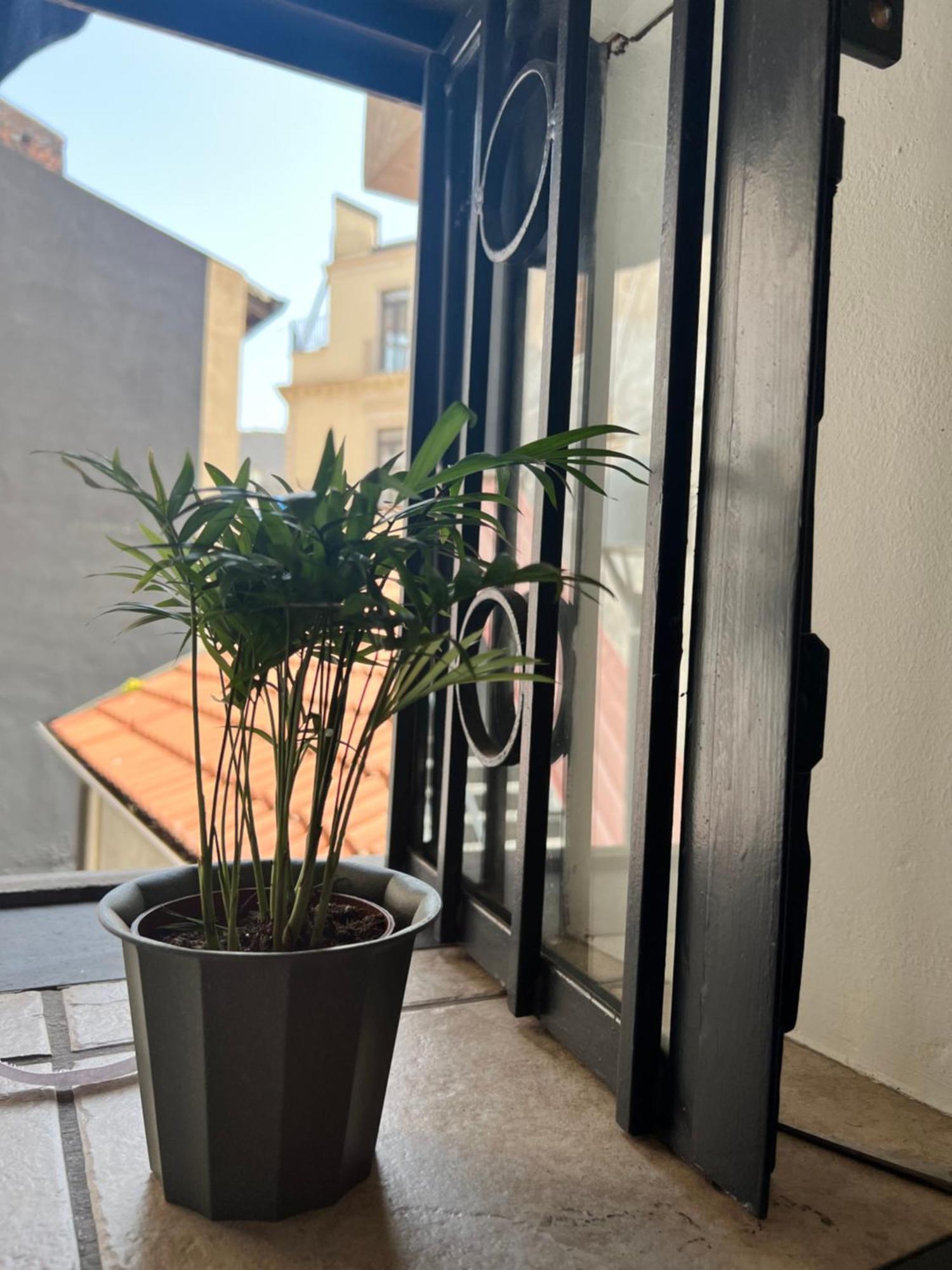 Casa vacanze Catania,sicilia,italia Barcaioli's